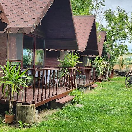 Pensiunea Delta D.M.Y. Mahmudia Bagian luar foto