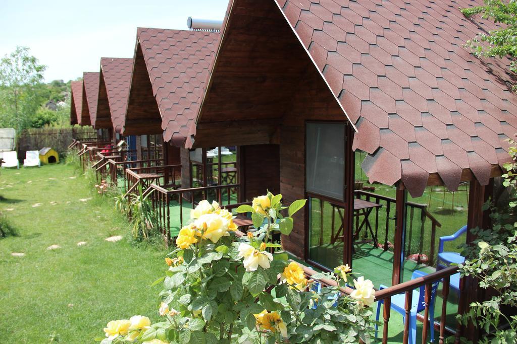 Pensiunea Delta D.M.Y. Mahmudia Bagian luar foto